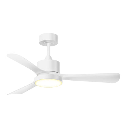 Adney 42" LED Ceiling Fan