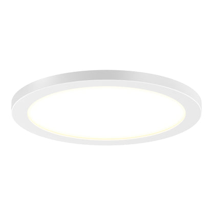 Skylight Pro 12" LED Flat Panel Light 5K
