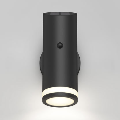Alba LED Outdoor Solar Light with Motion Sensor