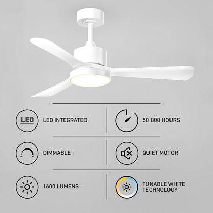 Adney 42" LED Ceiling Fan