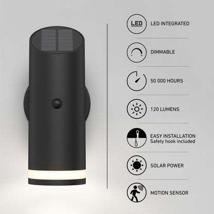 Alba LED Outdoor Solar Light with Motion Sensor