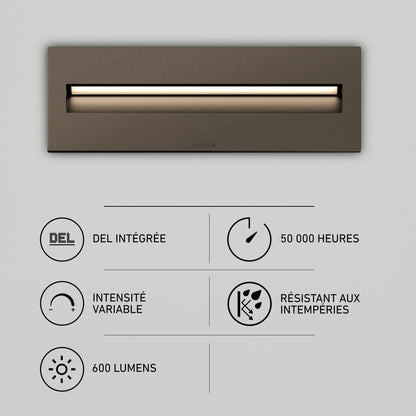 Dark Sky Pro 12" LED Step Light