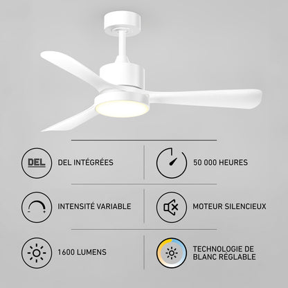 Adney 42" LED Ceiling Fan