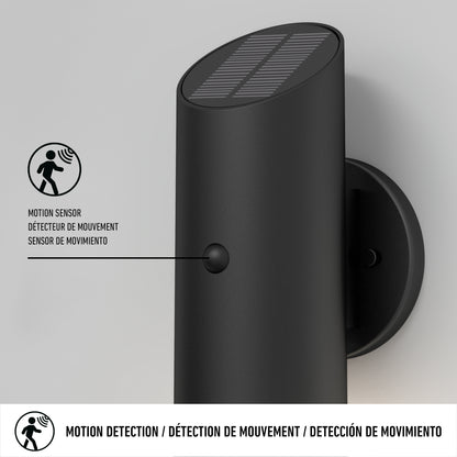 Alba LED Outdoor Solar Light with Motion Sensor