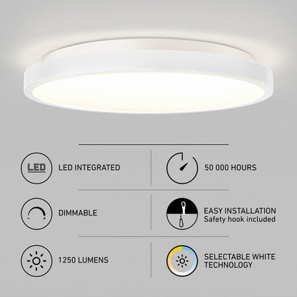 Rayker PRO 12" LED Flush Mount with Interchangeable Trim
