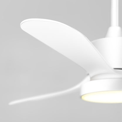 Adney 42" LED Ceiling Fan