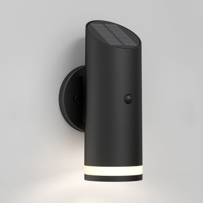 Alba LED Outdoor Solar Light with Motion Sensor