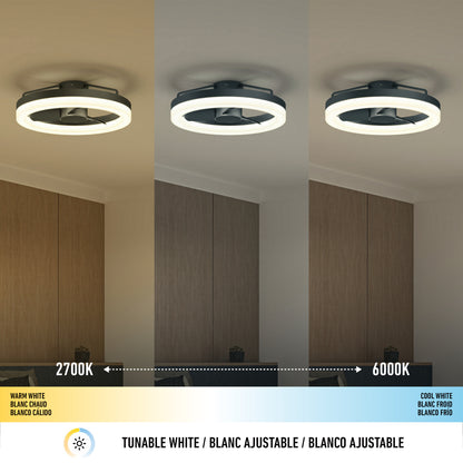 Alure 23" LED Ceiling Fan with Remote Control
