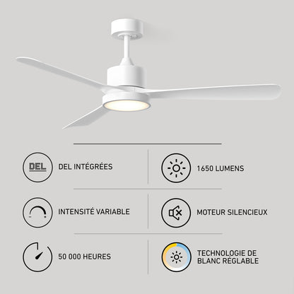 Adney 52" ventilador de techo LED