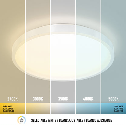 Rayker PRO 12" LED Flush Mount with Interchangeable Trim