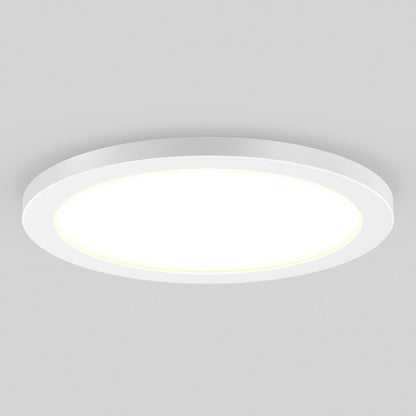 Skylight Pro 12" LED Flat Panel Light 5K