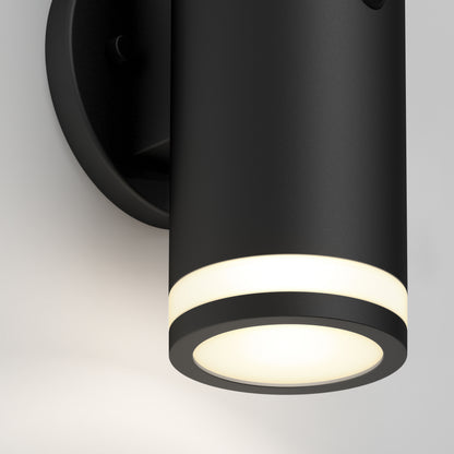 Alba LED Outdoor Solar Light with Motion Sensor