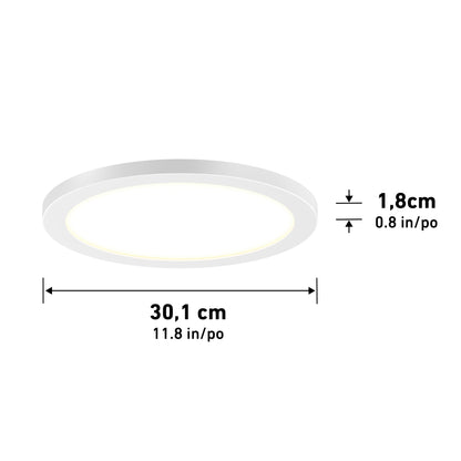 Skylight Pro 12" LED Flat Panel Light 5K