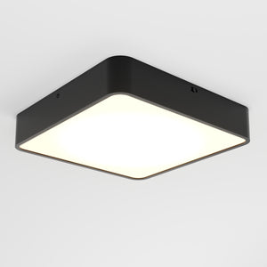 Lydel LED Ceiling Light