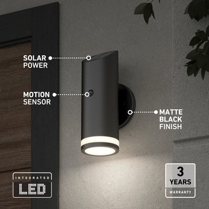 Alba LED Outdoor Solar Light with Motion Sensor